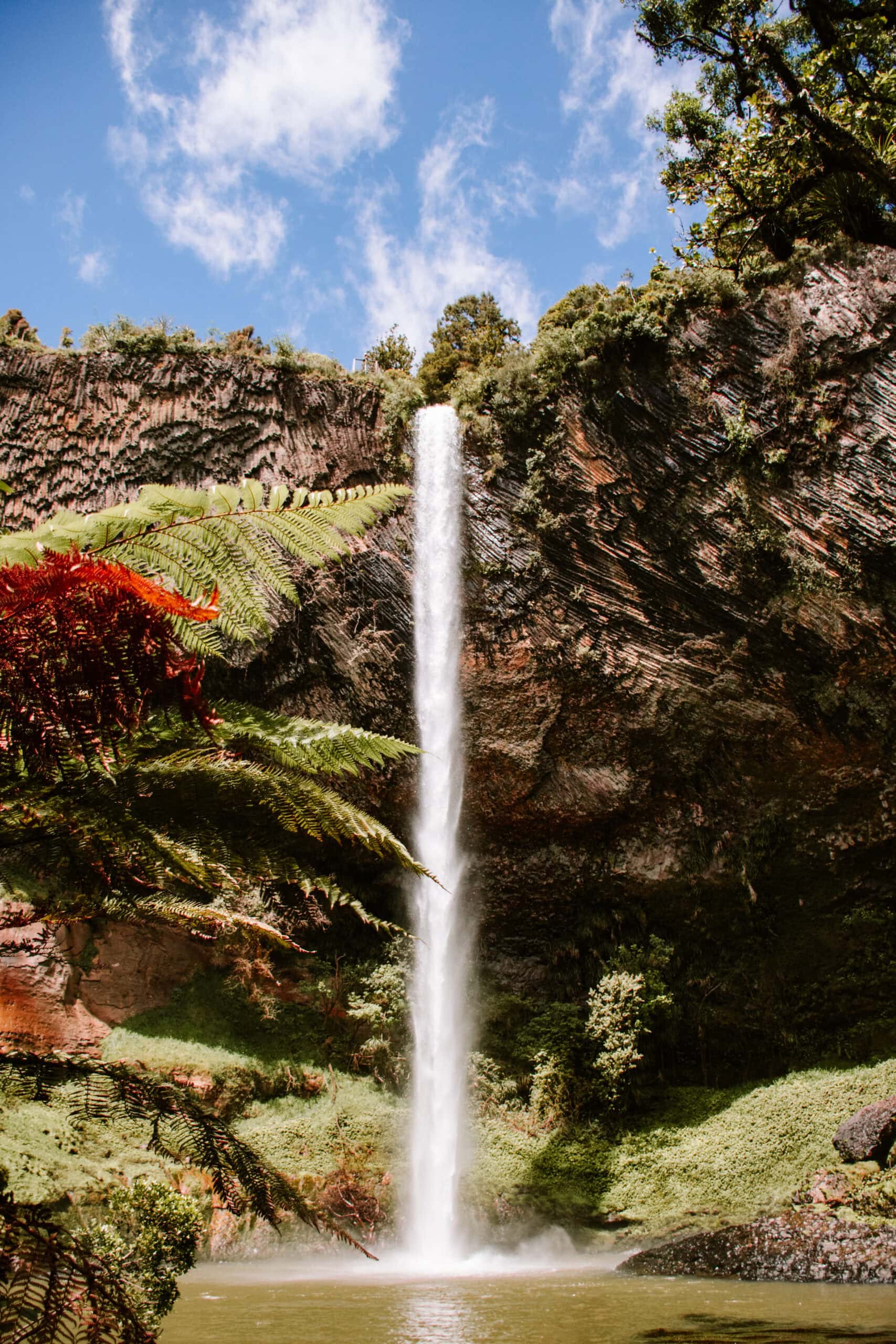 new zealand north island