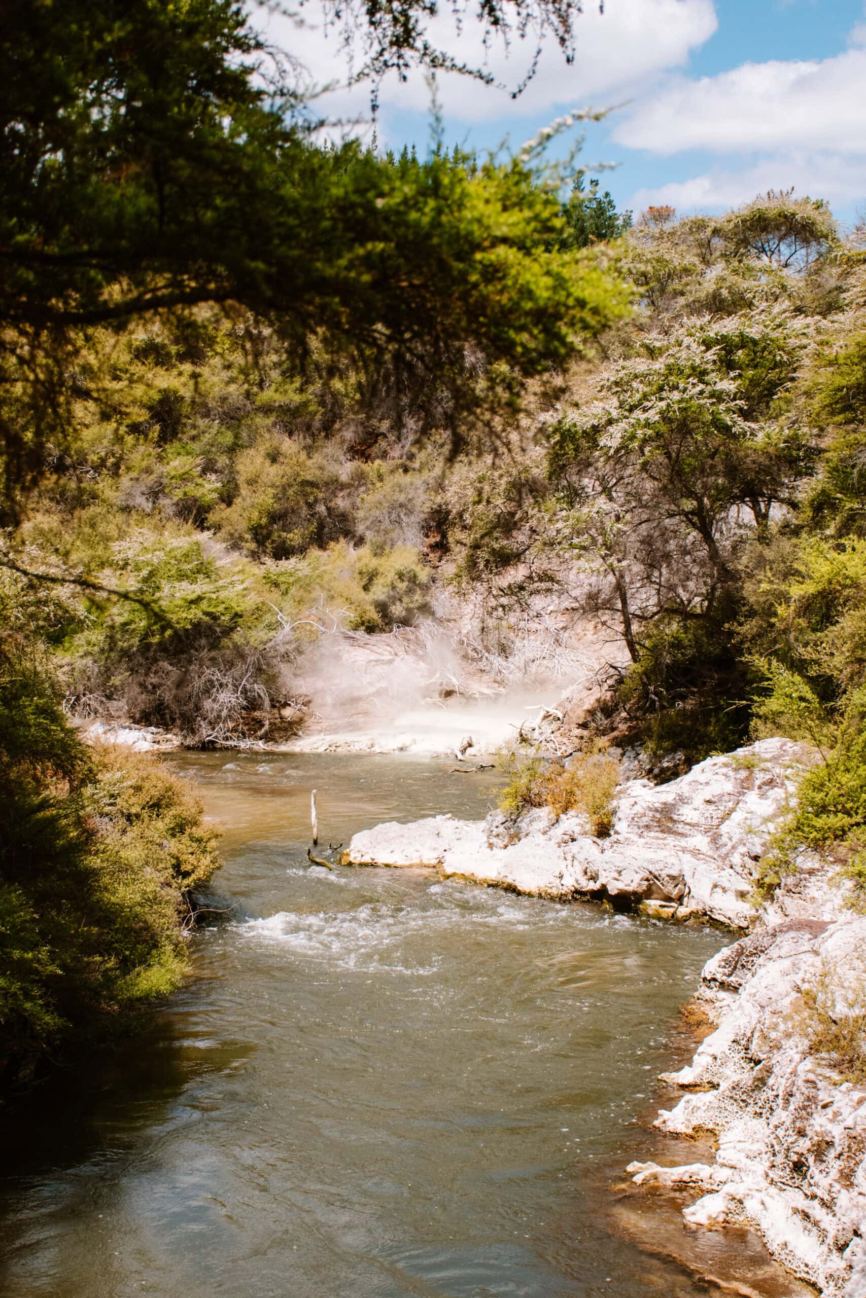 new zealand north island