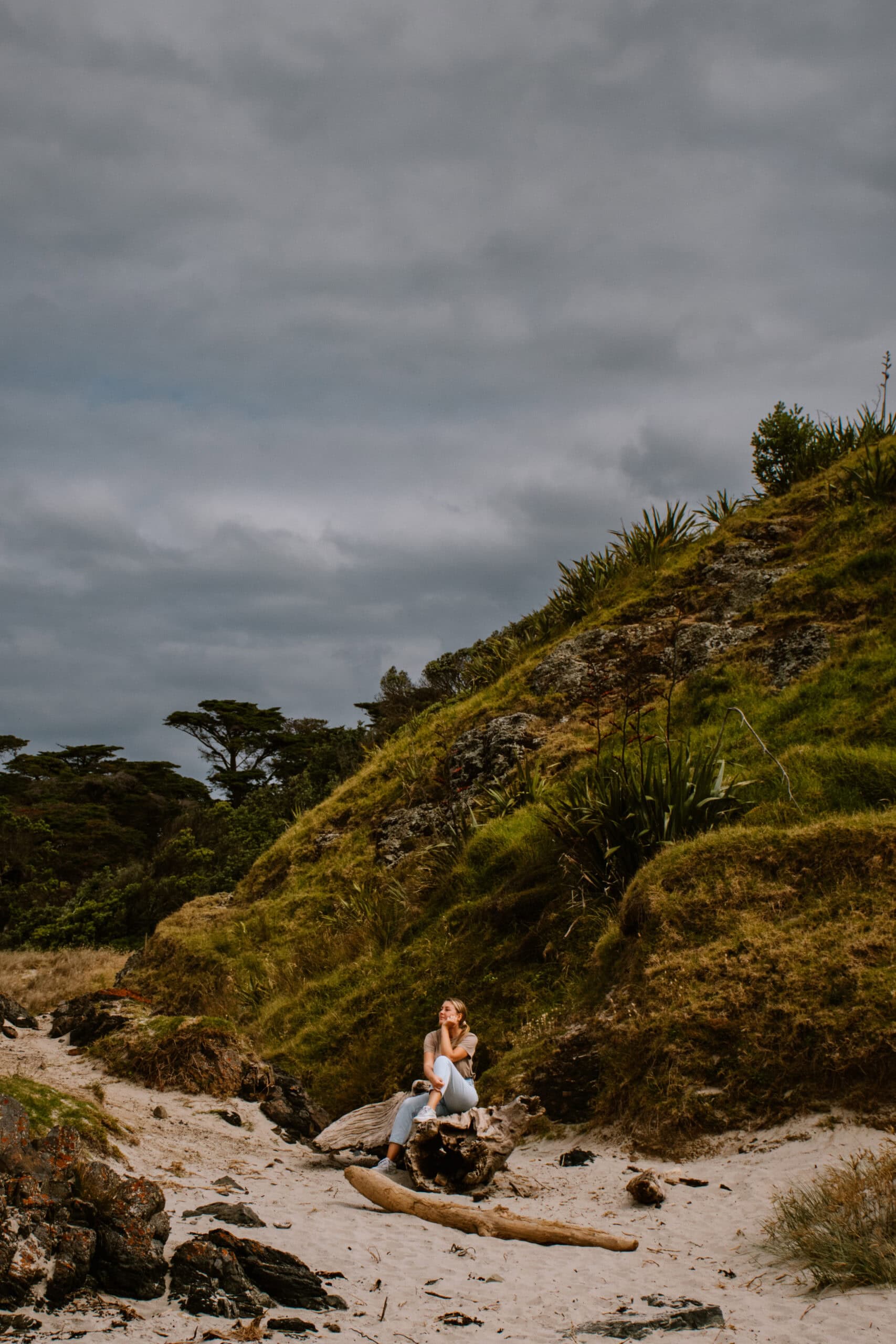 new zealand north island