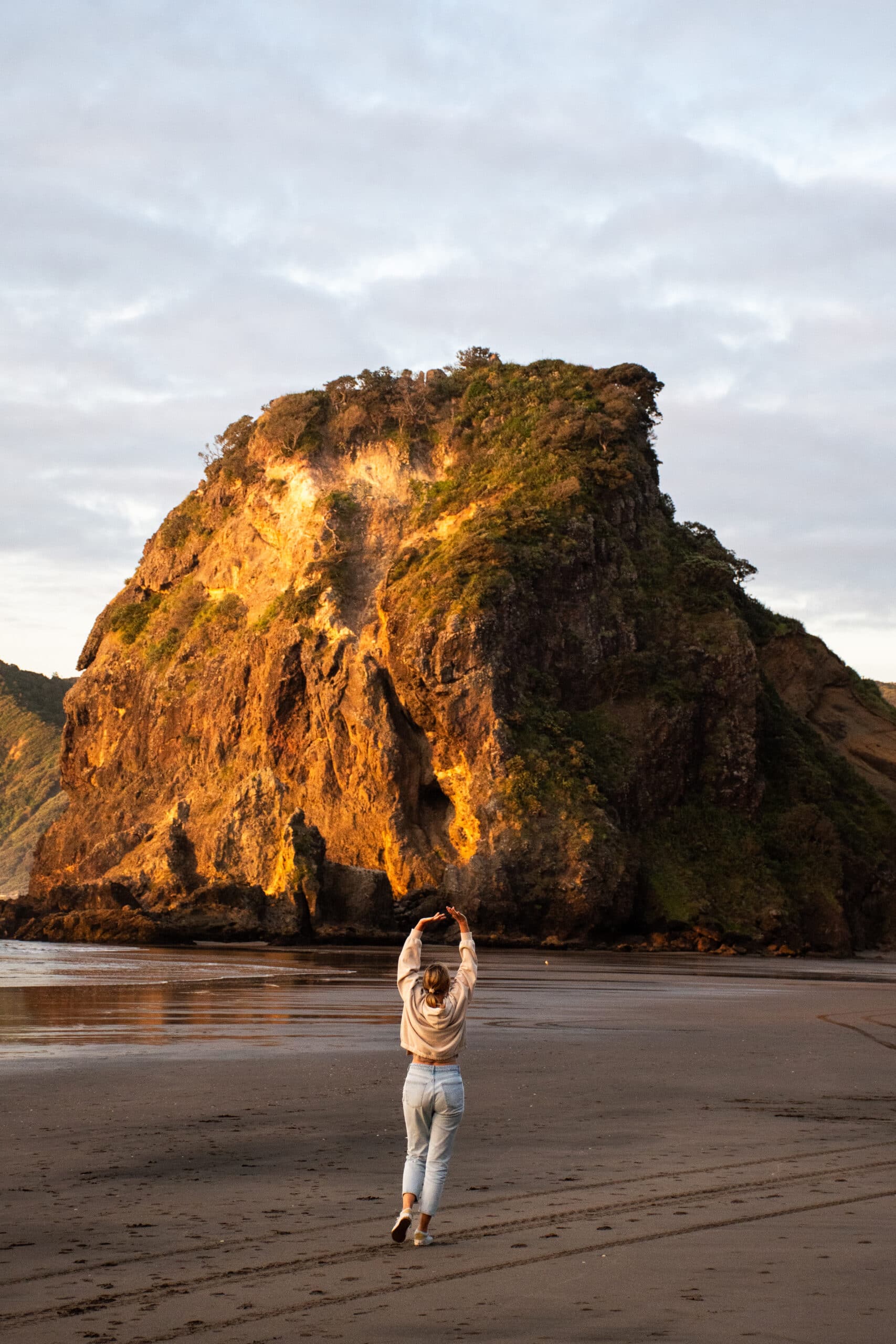 new zealand north island